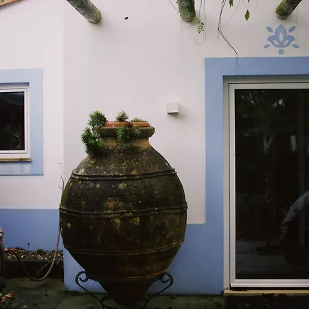 Casa Oliva-casa Da Eira דירה Porto de Mós